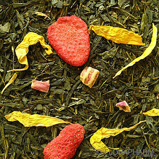Little Dragon Green Tea
